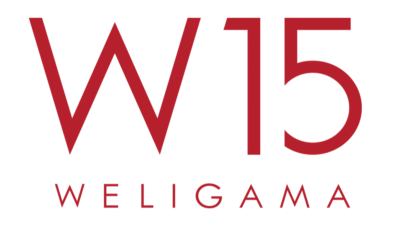 W15 logo