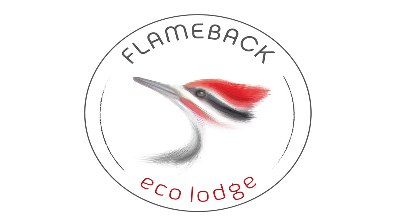 Flameback ecolodge logo