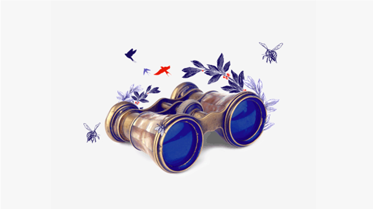 a telescope; image used for HSBC LK Expat Explorer page