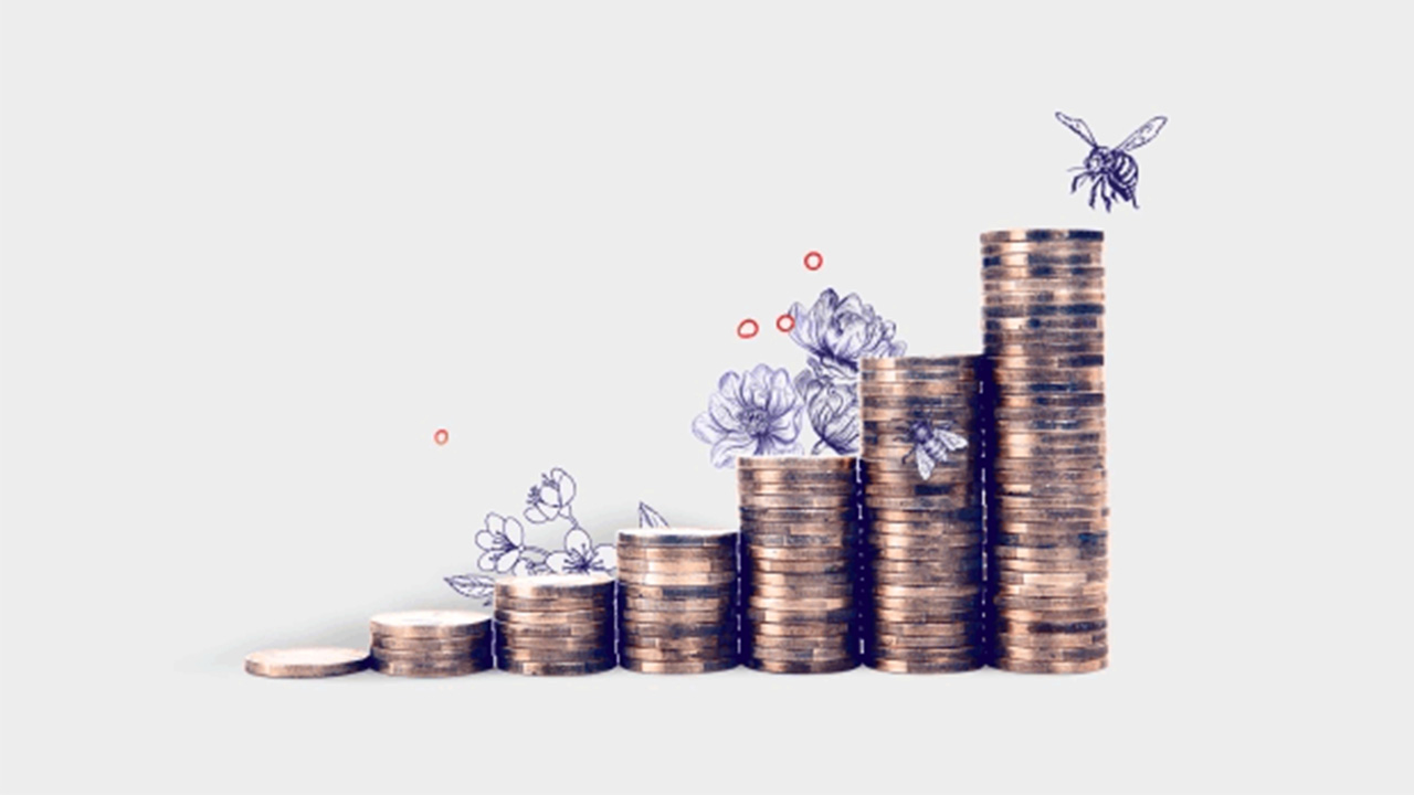 stackings of coins; image used for HSBC LK investing in sri lanka page