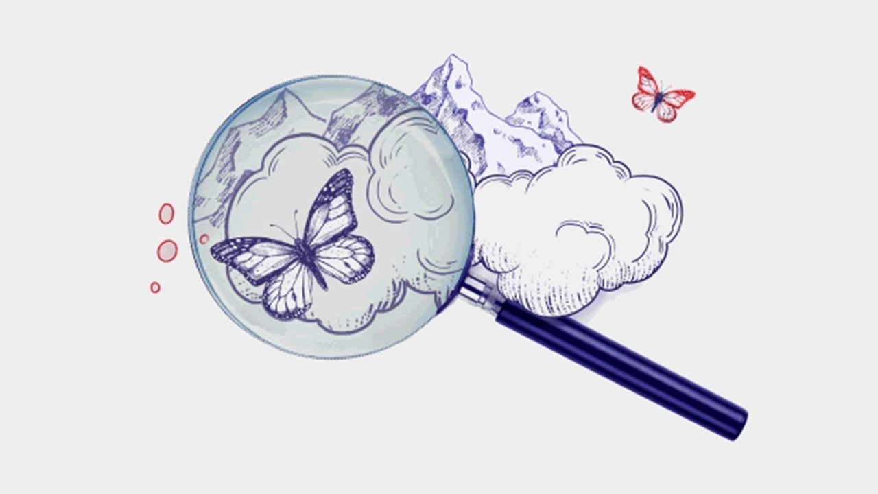 a magnifier; image used for HSBC LK Premier experience offers page