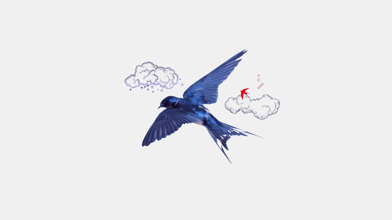 A blue bird flying into clouds
