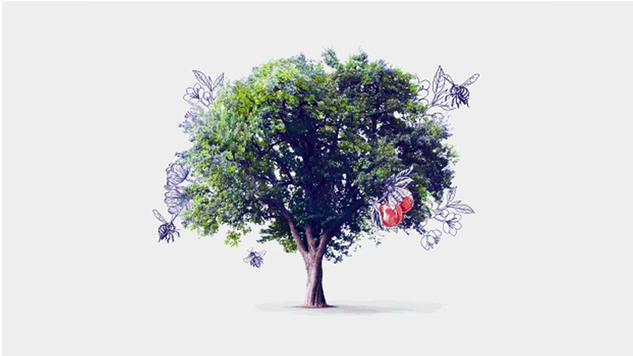 a tree; image used for HSBC LK Premier health and beauty offer page